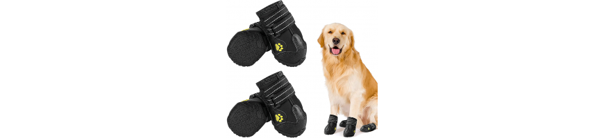 Обувь для собак
