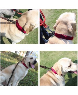 Ошейник тактический, малая пряжка, красный